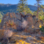 RockyMountains2021-88