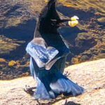 RockyMountains2021-95