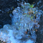 RockyMountains2021-98