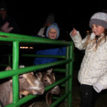 NewProvidenceTreeLighting2021-3