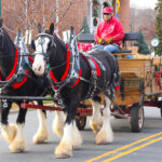 ScotchPlainsTreeLighting2021-1