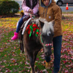 ScotchPlainsTreeLighting2021-29