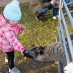 ScotchPlainsTreeLightingLeonard2021-13