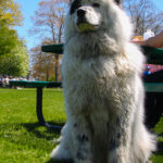 MillburnFoundersDay2022-7