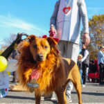 CranfordHalloweenParade2022-25