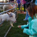 ClarkTreeLighting2022-215