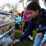 ClarkTreeLighting2022-216