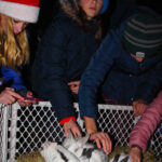 NewProvidenceTreeLighting2022-181