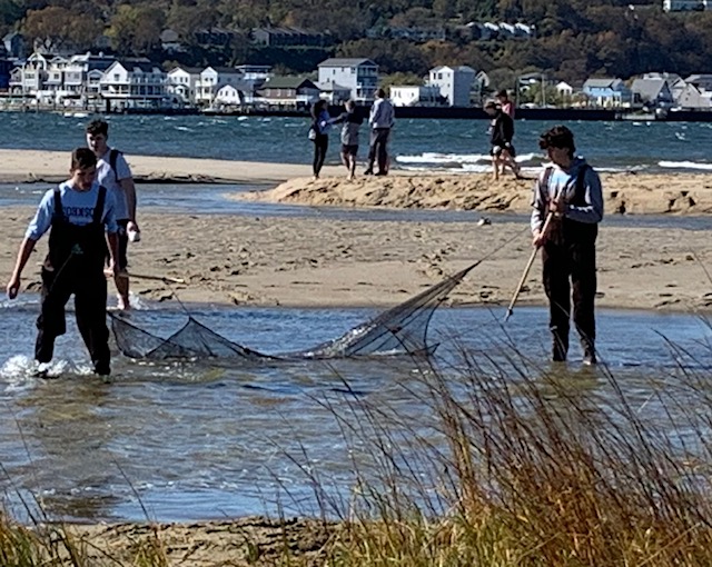 Renna Media | Marine Biology Classes Have A Day At The Beach