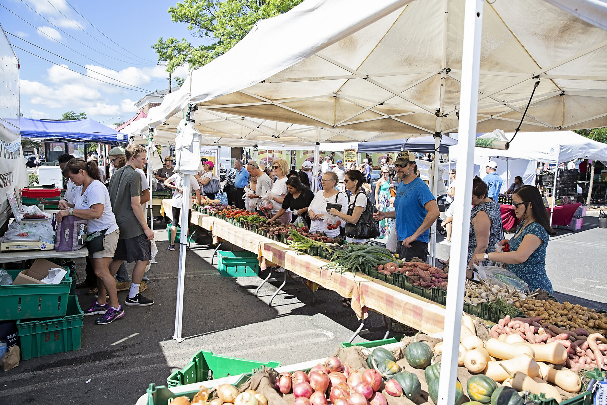 Renna Media 30th Season of Summit Farmers Market