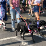 CranfordMemorialParade2023-38