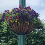 Fill-a-basket-photo-close-up