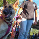 FlorhamParkNationalNightOut2023-9