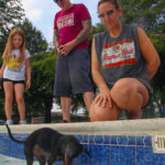 CranfordDogSwim2023-1