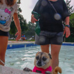 CranfordDogSwim2023-2