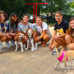 CranfordDogSwim2023-5