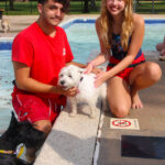 CranfordDogSwim2023-6