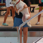 CranfordDogSwim2023-8