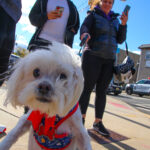 LindenHalloweenParade2023-79