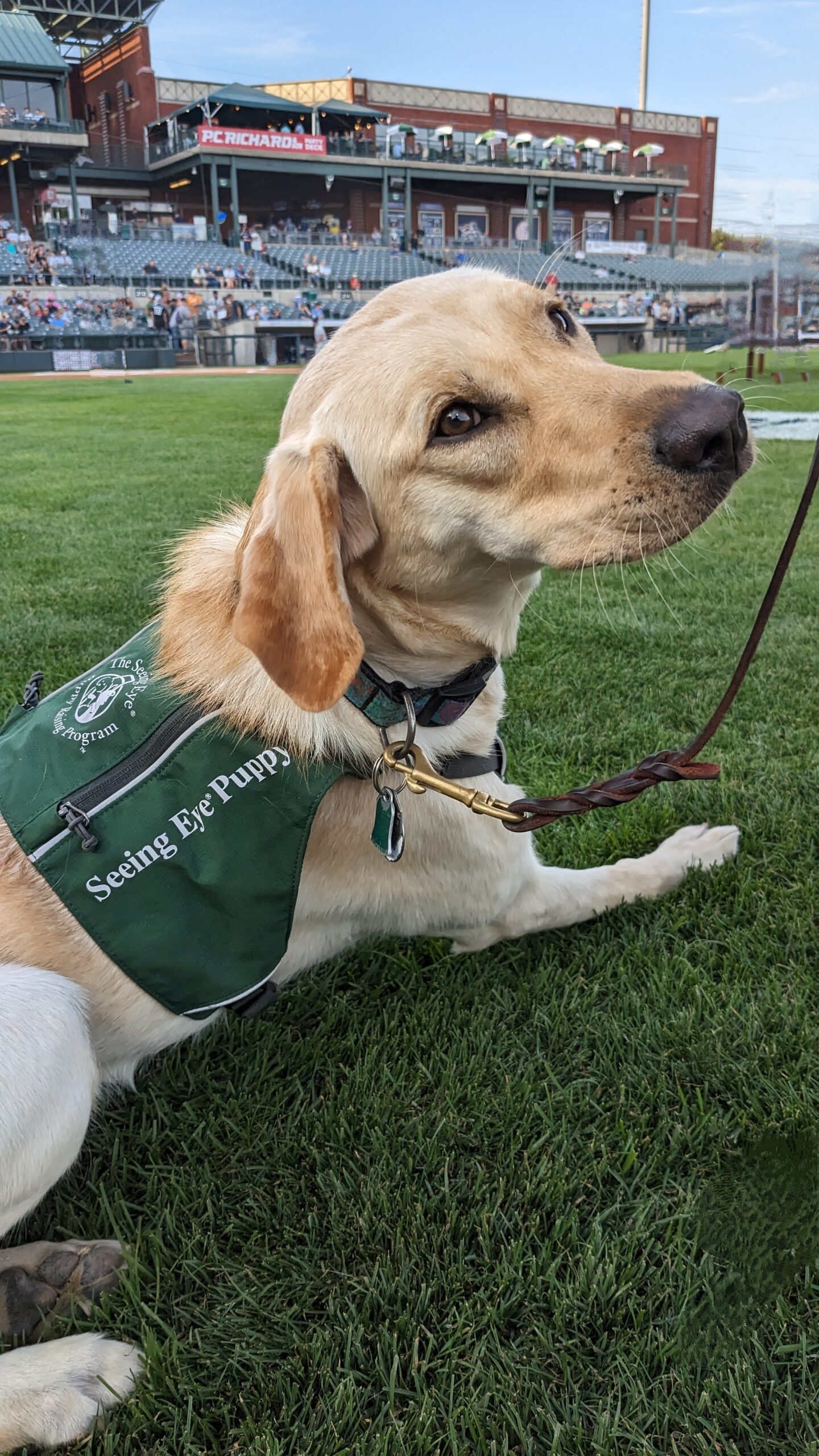 Renna Media Yankee Great Ron Guidry visits SCLSNJ