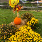 WatchungScarecrowStroll2023-8