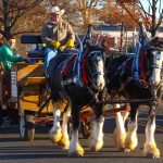 ClarkWinterFest2023-19