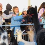 ClarkWinterFest2023-9