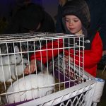 NewProvidenceWinterFest2023-3