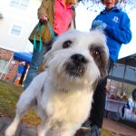 BerkeleyHeightsWinterFest2023-11