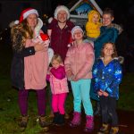 LongHilltreelighting2023-5