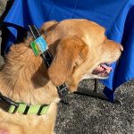 First-Day-Walk-for-Open-Space-2