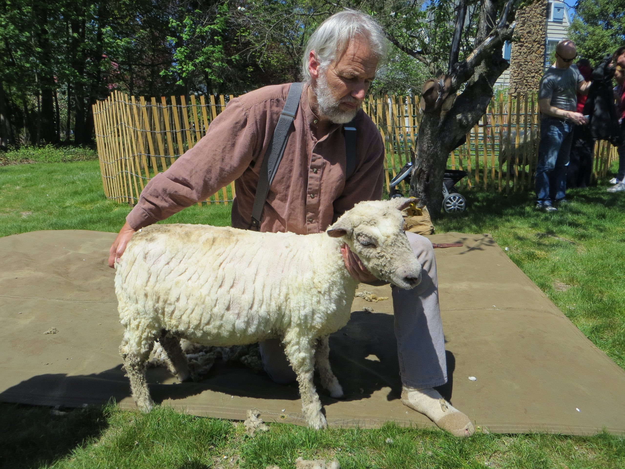 Miller Cory House Museum Annual Sheep to Shawl Event – April 13th