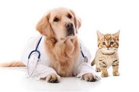Warren Township to host Free Rabies Clinic- May 4th