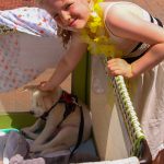 ChathamsFishawack2024-6