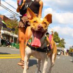 ScotchPlains2ndStFest2024-16