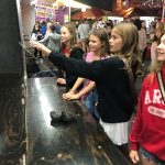 CranfordStMikesFair2024-15