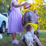 GreenBrookHarvest2024-11