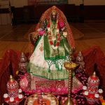 RosellePark ndiaFest2024-8