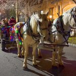 roselandTreeLighting2024-14